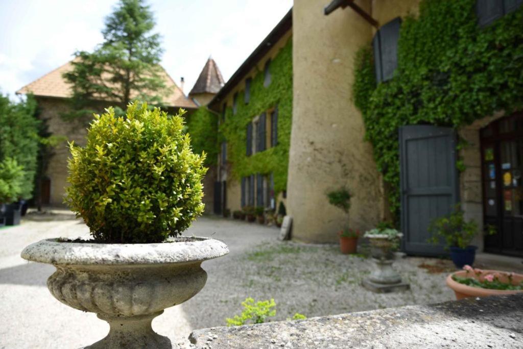 Chateau De Passieres Chichilianne Exterior foto
